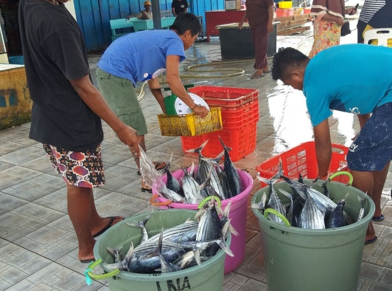 Pembelian Ikan Cakalang (Dokumentasi pribadi)