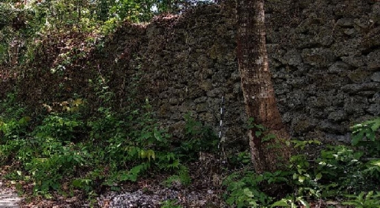 Benteng tradisional Kampung Kuno Tayando, Sumber: Balai Arkeologi Maluku/Wuri Handoko