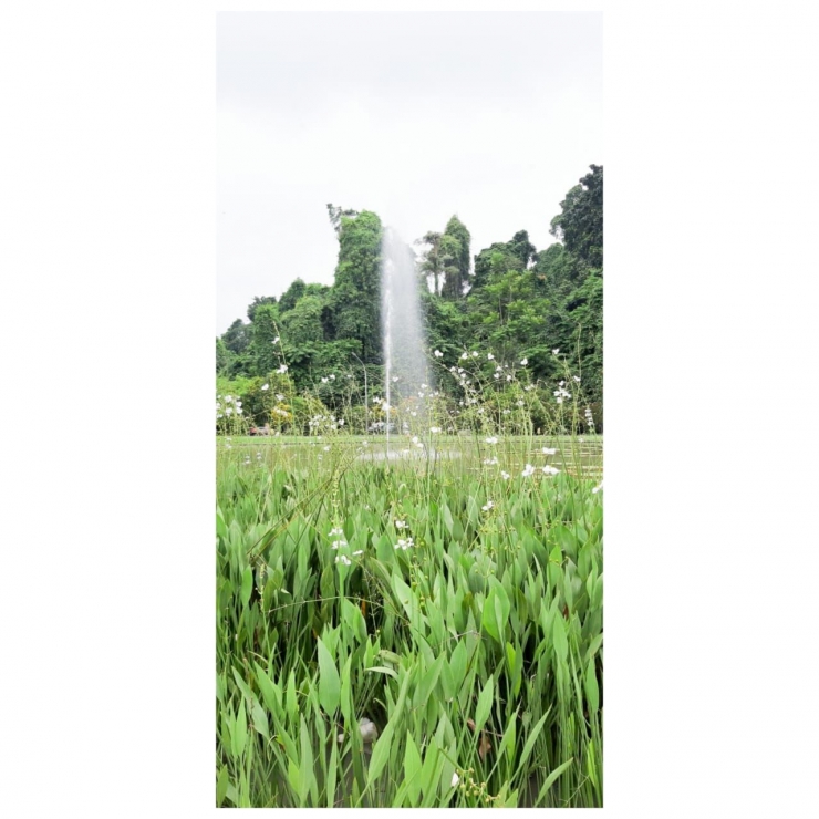Air Mancur di Kebun Raya Bogor (dokpri)