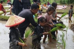 Anak anak belajar menanam padi di dusun Andong Desa Tamansuruh Banyuwangi (KOMPAS.COM/Ira Rachmawati)