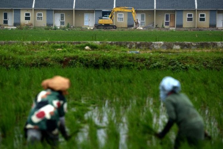 Sejak 1991, alih fungsi lahan pertanian subur di Pulau Jawa mulai marak. Banyak lahan pertanian berubah menjadi perumahan, industri, perkantoran, jalan, dan sarana lainnya. Padahal, potensi pengembangan sawah beririgasi relatif terbatas. (Pikiran Rakyat/Ade Mamad)