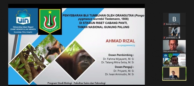 Saat Rizal  menyampaikan seminar hasil penelitiannya   via virtual zoom meeting .Foto dok : Rizal/Yayasan Palung.