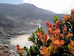 Dokpri. Tangkuban Parahu Mountain. Photo by Ari