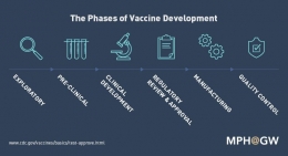 Tahapan pengembangan vaksin memerlukan waktu yang lama. Sumber George Washington University