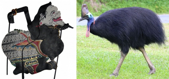 kesamaan visual antara Semar dan burung Kasuari (sumber: wikipedia dan voaindonesia.com)