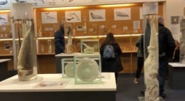 Pengunjung di Museum Penis (Foto: youtube - s34nVideos)
