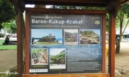 Fenomena geologi Pantai Baron-Kukup-Krakal (dok pri)