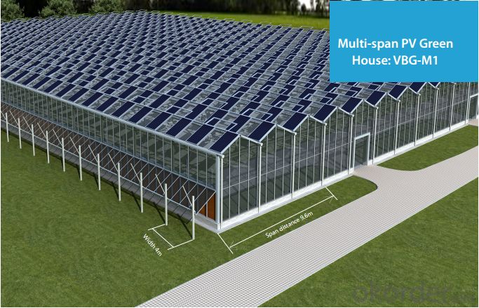 Agrivoltaic dengan konsep rumah kaca (okorder.com)