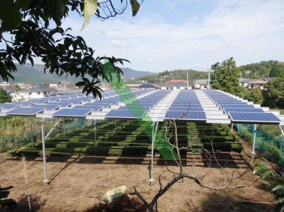 Agrivoltaic di Jepang (solarack.com)