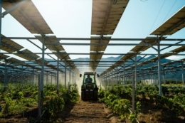 Mesin pertanian leluasa lewat dibawah panel surya (solarimpulse.com)