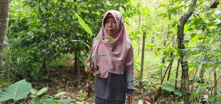 Suwesi sedang menunjukan tanaman angkrik/Foto: Lilian Kiki Triwulan