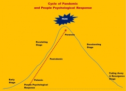 Pandemic Cycle - Arnold M
