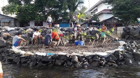 aktivitas rekayasa pantai membuat konstruksi media anakan mangrove (sumber: rignoldadjamaluddin)