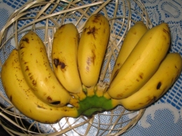 Gambar 5. Buah pisang. Sumber: https://id.wikipedia.org/