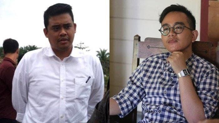 Bobby Nasution dan Gibran Rakabuming Raka (wartakota.tribunnews.com)