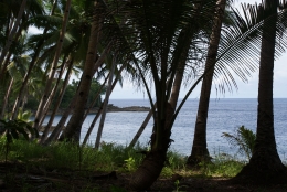 Nyiur Melambai, di sebuah pantai di Pulau Buida, Kepulauan Talaud. Sumber: Balai Arkeologi Sulut