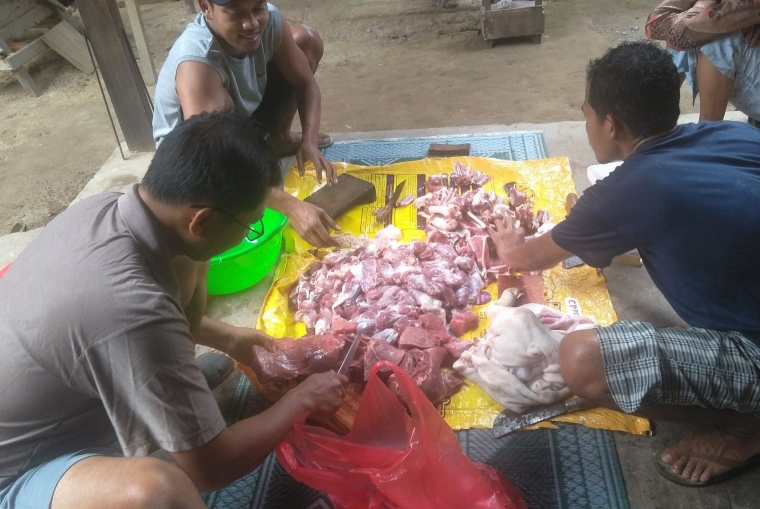Dok.pri