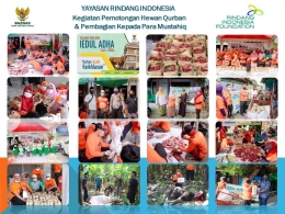 Kolase kegiatan semarak kurban Yayasan Rindang Indonesia. Foto: dokpri