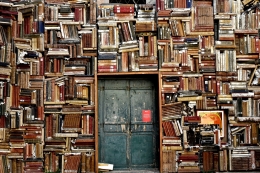 ilustrasi tumpukan buku. (sumber: pixabay/ninocare)