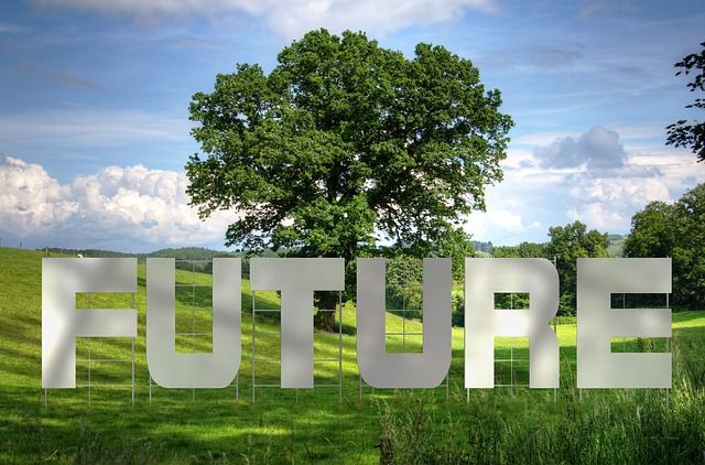 ilustrasi pohon dan masa depan (sumber gambar: pixabay.com)