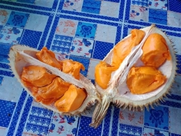 Durian Elai. (Foto: Dokumen pribadi)