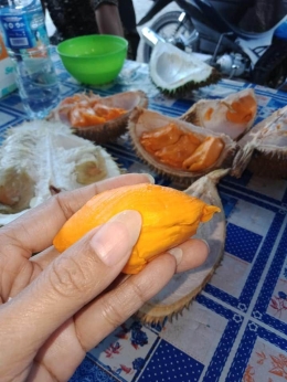 Durian Elai. (Foto: Dokumen pribadi)