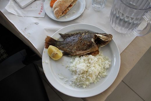 Ikan Petrus