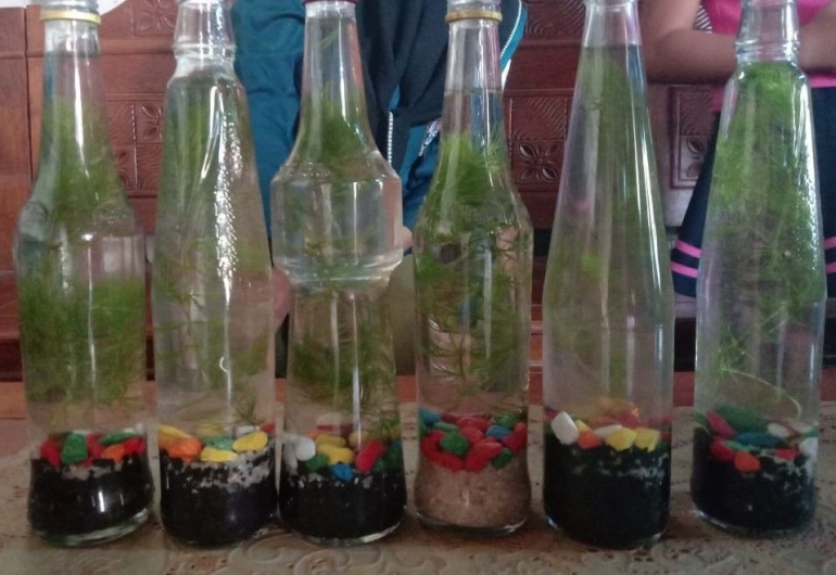 Gambar miniaquascape dari botol bekas hasil kreasi mahasiswi KKN dan anak-anak desa Klayusiwalan (Dokpri)