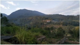 Kondisi Lapangan Kawasan Desa Campakamulya (Sumber: dokumentasi pribadi)