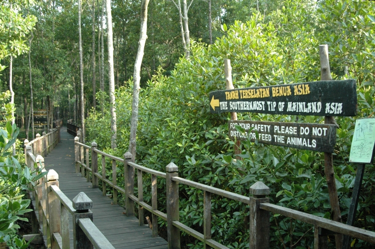 Wisata pohon bakau di Johor, Malaysia. Foto/TH Salengke