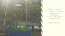 Deskripsi : Urban Farming Solusi Hidup Sehat Sekaligus Memenuhi Kebutuhan Sayur Para Pekerja I Sumber Foto : dokpri