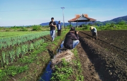 Pembuatan Video Inovasi desa Pada penggolahan bawang merah Topo (Dokumentasi pribadi)