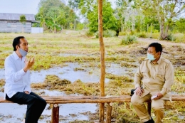 menhan prabowo dan presiden jokowi di lokasi pengembangan lumbung pangan nasional - nasional.kompas.com