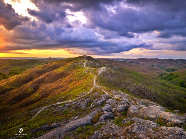 Bukit Wairinding, Sumba. Sumber: Koleksi pribadi