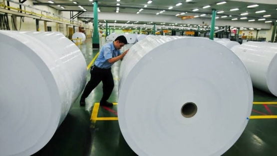 Industri kertas diketahui banyak membutuhkan sumber daya. (Dok prokabar.com)