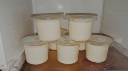 Es Krim Yogurt Jambu Kristal (Dokpri)