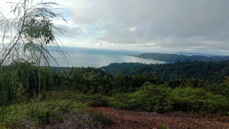 Puncak kasawari/foto by mahakam