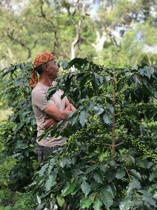Zaini, pakar kopi gayo. Sumber Foto: Fb Zaini Wen