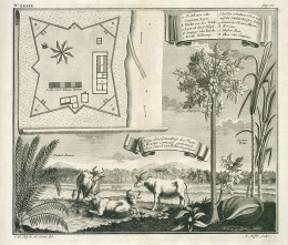 Benteng Meester Cornelis tahun 1744 | sumber: www.nationaalarchief.nl
