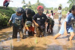 Anak anak belajar menanam padi di sawah