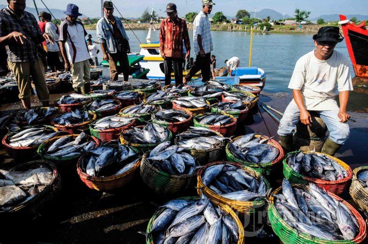 Hasil tangkapan Ikan yang melimpah di TPI Lampulo. Sumber Foto (acehnews.net)
