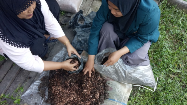 Reni Artati, mahasiswi KKN Undip bersama Ibu-Ibu di RT 11/RW 4, Kelurahan Kedamin Hulu melakukan program pengomposan dan pemanfaatan kompos di lingkungan sekitar. (Sumber: Galeri Penulis)