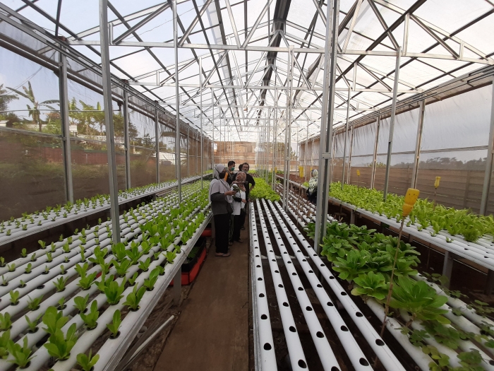 Aquaponik Joi Farm|Dok. Bolang