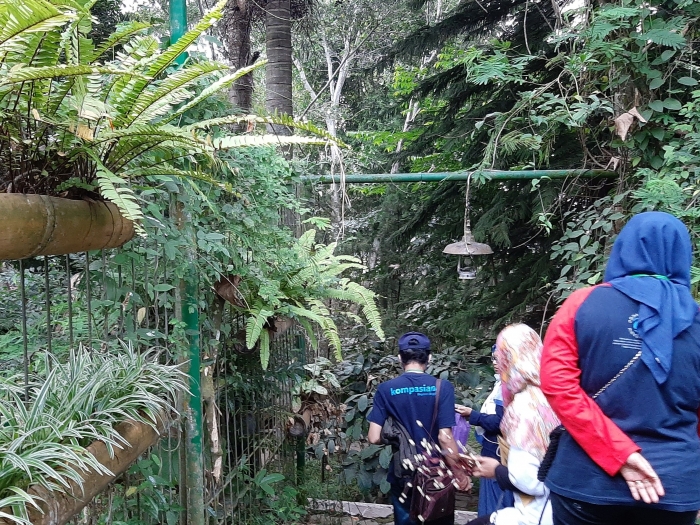 View area di dalam P-WEC Petungsewu|Dok. Bolang