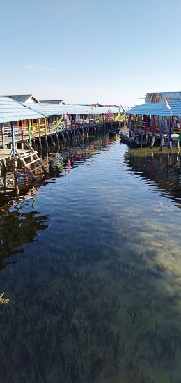 Rumah panggung di atas padang lamun pemukiman Bajo di Torsiaje seperti rumah yang terapung (Gambar Marahalim Siagian)