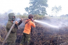 Kebakaran hutan dan lahan di Riau awal tahun 2020. Sumber: kompas.com