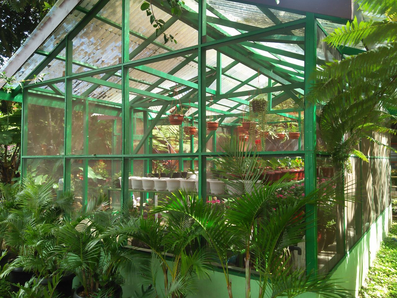 Rumah Kaca di SMP Santa Maria (Dokpri)