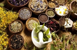 Bahan obat herbal (sumber:www.dekoruma.com) 