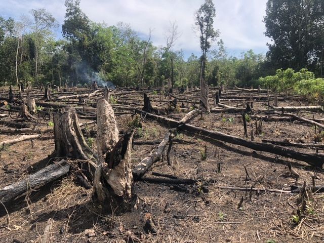 Foto: Lahan Siap Ditugal / Dokpri.