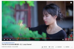 Screenshot video Li Ziqi (via Kompas)